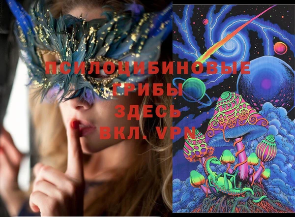 МДПВ Карпинск