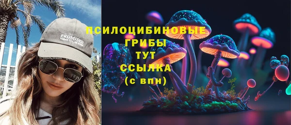 спайс Касимов