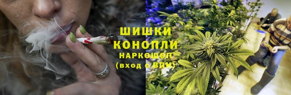 спайс Касимов