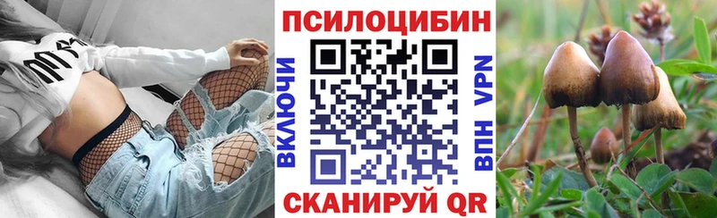 Псилоцибиновые грибы MAGIC MUSHROOMS  OMG зеркало  Кингисепп 